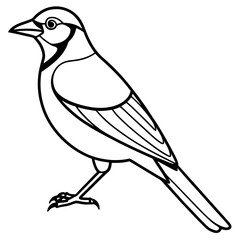 Jay’s Elegant One-Line Vector Art