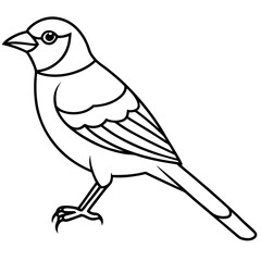 Obraz premium Jay’s Elegant One-Line Vector Art