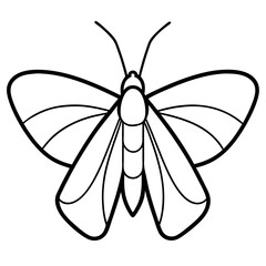 Fototapeta premium nimal Moth line art vector 