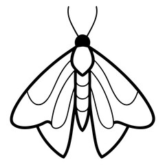 nimal Moth line art vector 