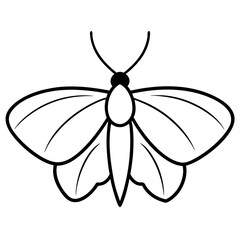 nimal Moth line art vector 