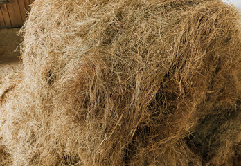 Hay Bale Close Up for Animal Feed and Rural Farm Life with Horses and Livestock