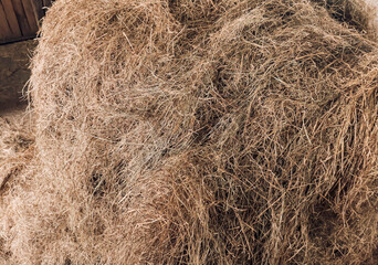 Hay Bale Close Up for Animal Feed and Rural Farm Life with Horses and Livestock