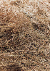 Hay Bale Close Up for Animal Feed and Rural Farm Life with Horses and Livestock