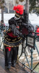 Disguised Person - Annecy Venetian Carnival 2013