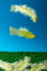 Colorful feathers floating against a bright blue sky above a grassy surface during daytime