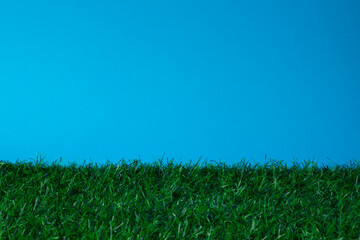 Green grass contrasts against a bright blue background