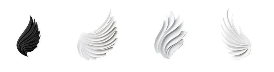 Elegant black and white feather designs with curved and intricate patterns and unique textures