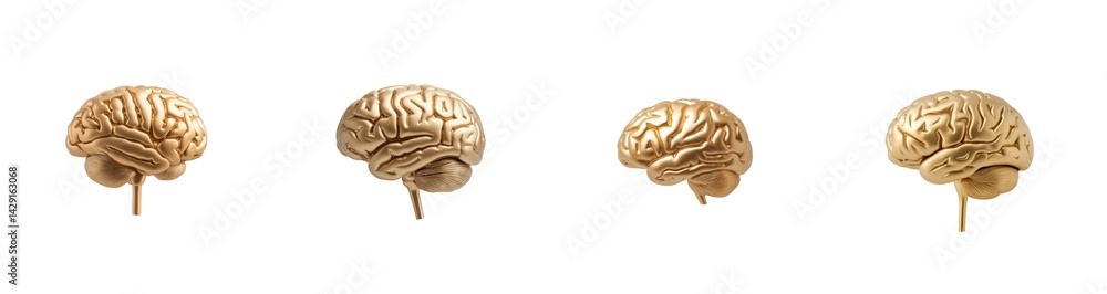 Poster four golden brains displaying human cognition and neural complexity