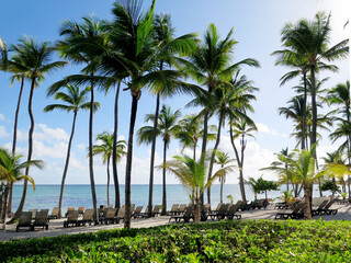 Obraz premium Tropical Beach with Palm Trees and Lounge Chairs