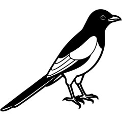 One-Line Magpie Vector Sketch