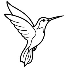 Simple Hummingbird in Continuous Line Vector