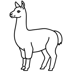 Simple Llama One-Line Vector Artwork