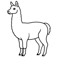 Simple Llama One-Line Vector Artwork