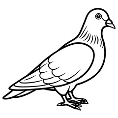Simplistic Pigeon Line Art Vector