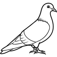 Simplistic Pigeon Line Art Vector