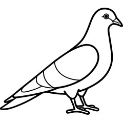 Simplistic Pigeon Line Art Vector