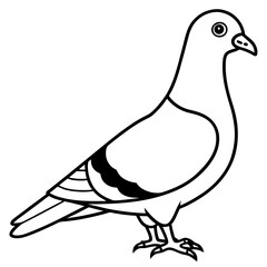 Simplistic Pigeon Line Art Vector