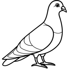 Simplistic Pigeon Line Art Vector