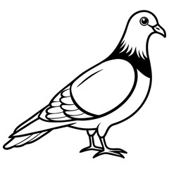 Simplistic Pigeon Line Art Vector