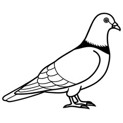 Obraz premium Simplistic Pigeon Line Art Vector