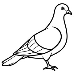 Simplistic Pigeon Line Art Vector