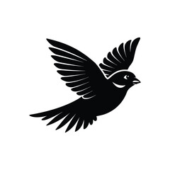 Obraz premium sparrow in flight with feathers trailing silhouette