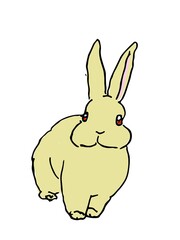 うさぎ