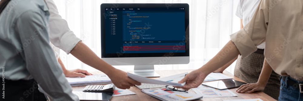 Aufkleber Software development programming on computer screen for brisk application and program coding