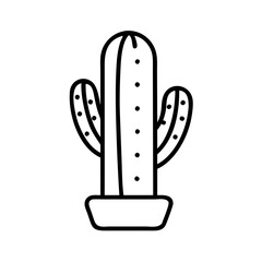 Cactus drawing vector illustration of desert plant succulent botanical outline saguaro icon art line
