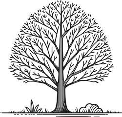 Obraz premium Simple Tree Line-Art , Whimsical Tree Vector Line Art, Elegant Whimsical Line Art Tree Illustration on White or Transparent Background 