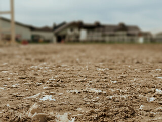 Polluted Soil Surface with Litter and Waste Showing Environmental Damage and Land Preparation...