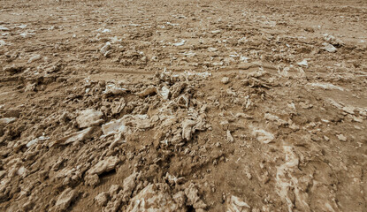 Polluted Soil Surface with Litter and Waste Showing Environmental Damage and Land Preparation Challenges