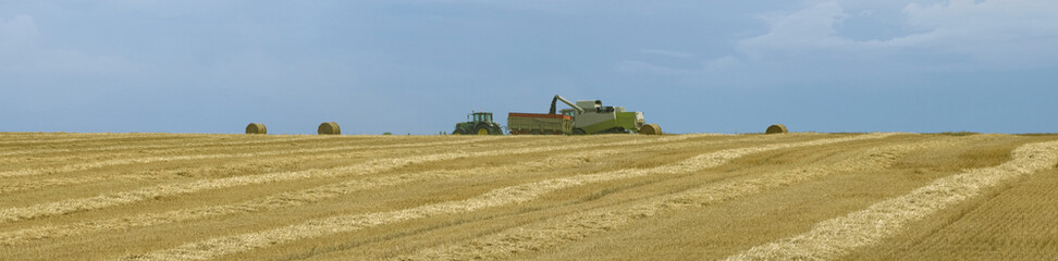 Fototapeta premium Champ de blé moissonné et moissonneuse-batteuse