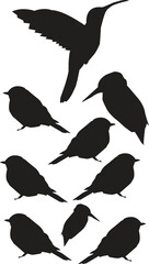 bird vector 