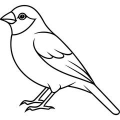 Obraz premium Single-Line Finch Vector Design