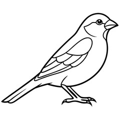 Fototapeta premium Single-Line Finch Vector Design