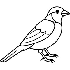 Single-Line Finch Vector Design
