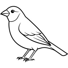 Single-Line Finch Vector Design