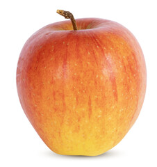 Pomme variété ‘Liz’	