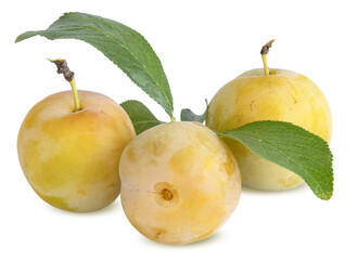 Prune Reine Claude	