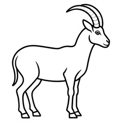 Fototapeta premium Sleek Ibex Line Art Vector