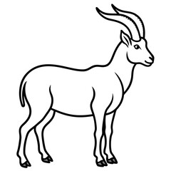 Fototapeta premium Sleek Ibex Line Art Vector