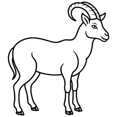 Sleek Ibex Line Art Vector