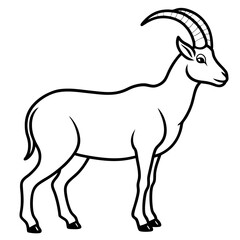 Sleek Ibex Line Art Vector