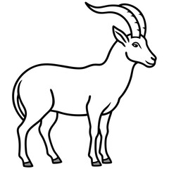 Sleek Ibex Line Art Vector