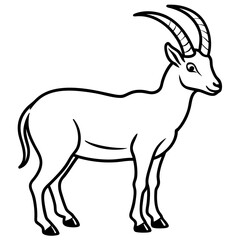 Sleek Ibex Line Art Vector