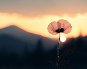 Sunrise Poppy Mountain Scene