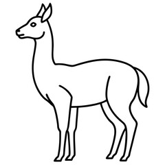 Sleek Vicuna One-Line Vector Art