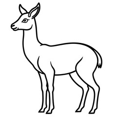 Fototapeta premium Sleek Vicuna One-Line Vector Art